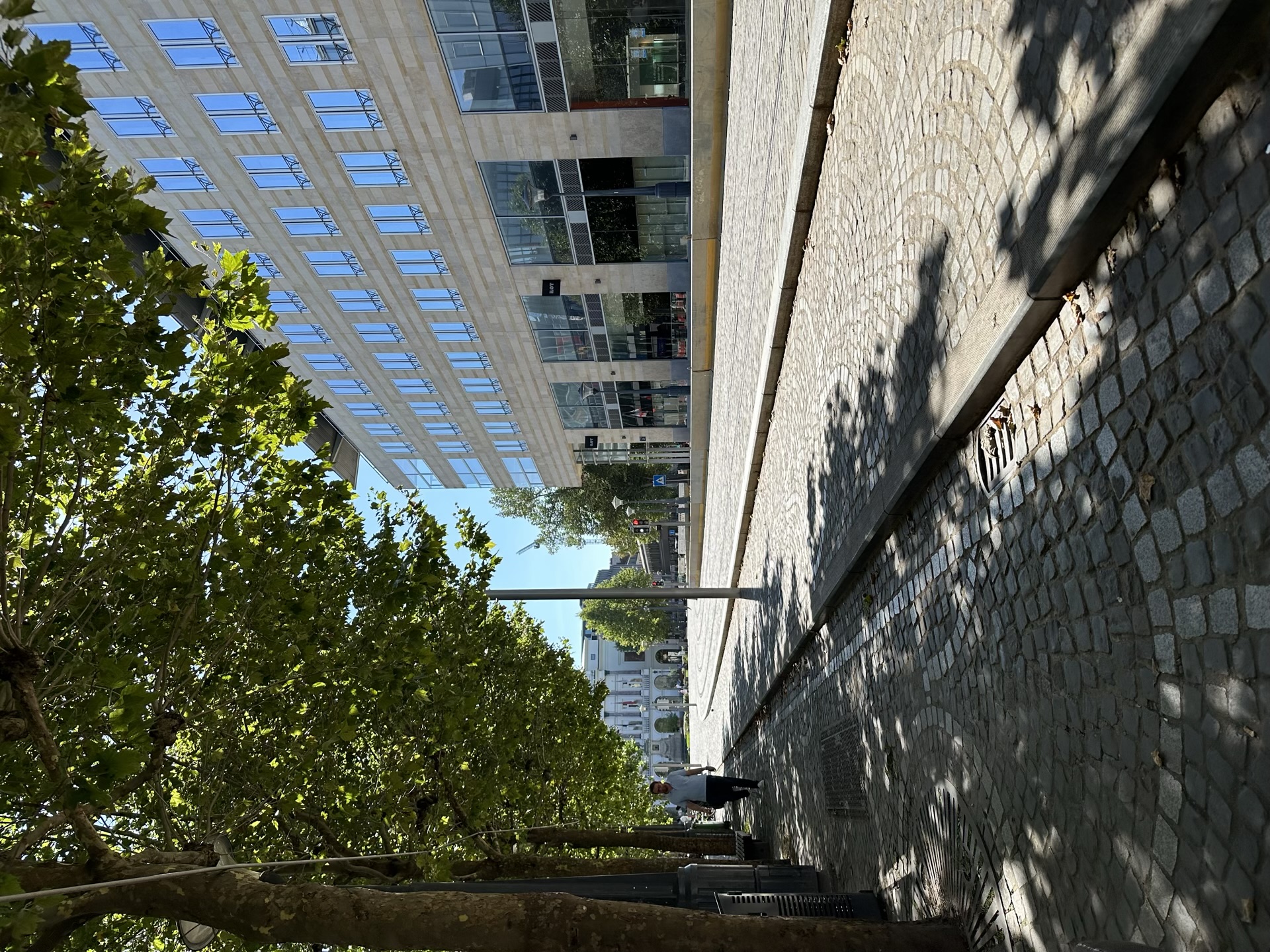 Liege: Frumusețe Istorică Înecată într-o Realitate Amară