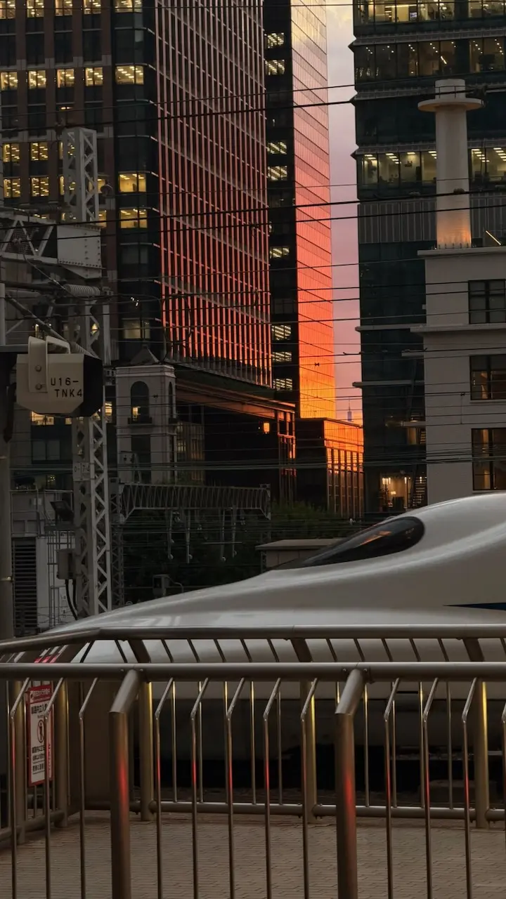 Image 27 for GT41: Asia | Tokyo: Ritualul din luna Mai